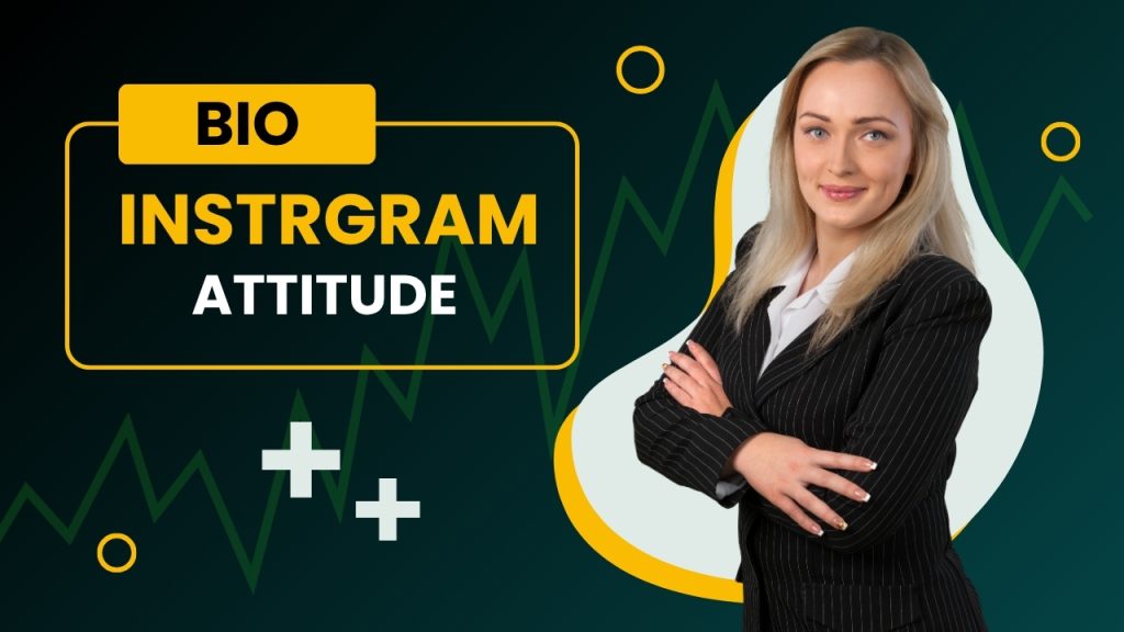 Attitude Instagram Bio Ideas for all
