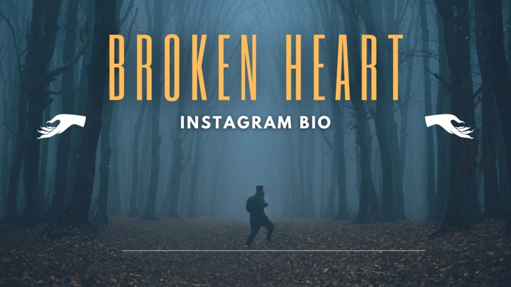 Instagram Bio Broken Heart Stylish