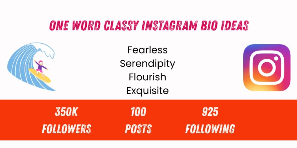 One word instagram bio